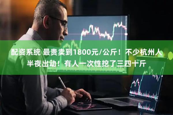 配资系统 最贵卖到1800元/公斤！不少杭州人半夜出动！有人一次性挖了三四十斤