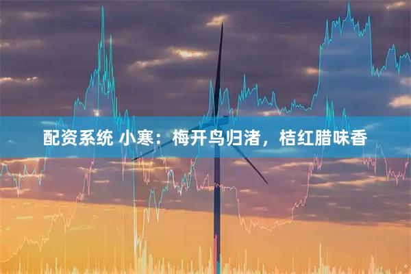 配资系统 小寒：梅开鸟归渚，桔红腊味香