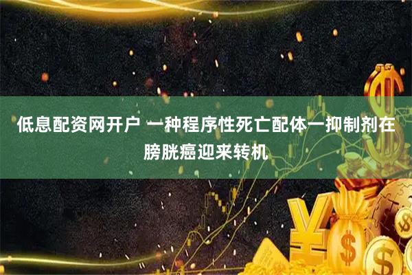 低息配资网开户 一种程序性死亡配体一抑制剂在膀胱癌迎来转机